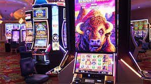 sg77 live casino dealer table streamed on mobile device